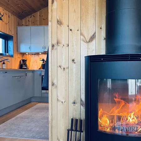 Moderne I Vestlia-ski In Out * Geilo