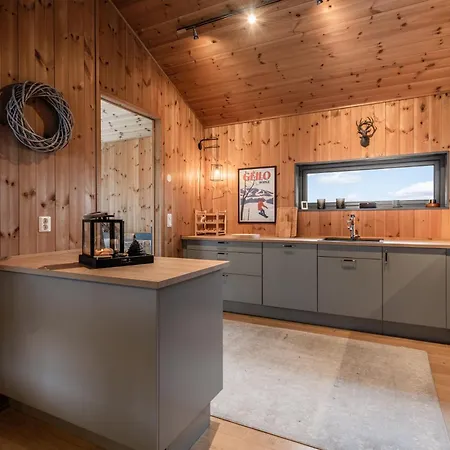 Moderne I Vestlia-ski In Out * Geilo