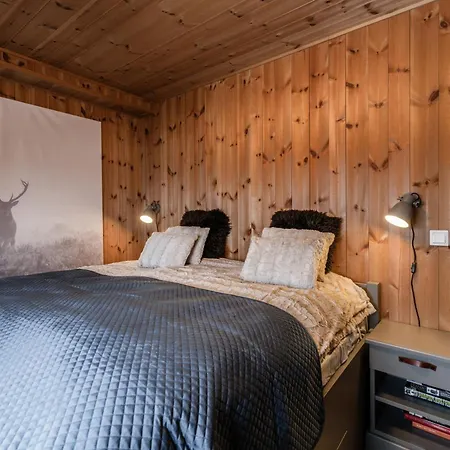 Moderne I Vestlia-ski In Out * Geilo