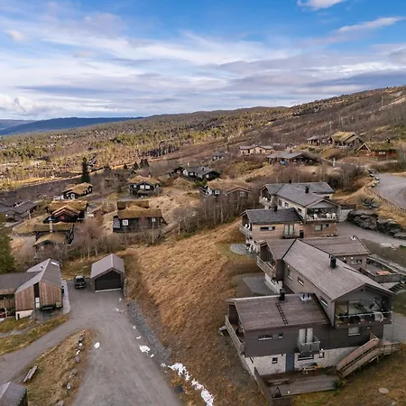 Moderne I Vestlia-ski In Out Geilo